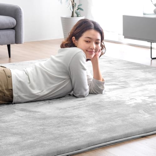 タンスのゲン ラグ 4畳 200×300cm【お掃除ロボ対応 スロープラグ】 Amazon | タンスのゲン ラグ 4畳 200×300cm【お掃除ロボ対応 スロー
